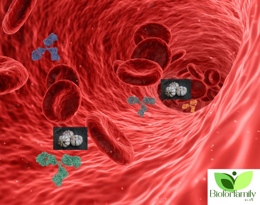 Design Sans Titre11 1024x809