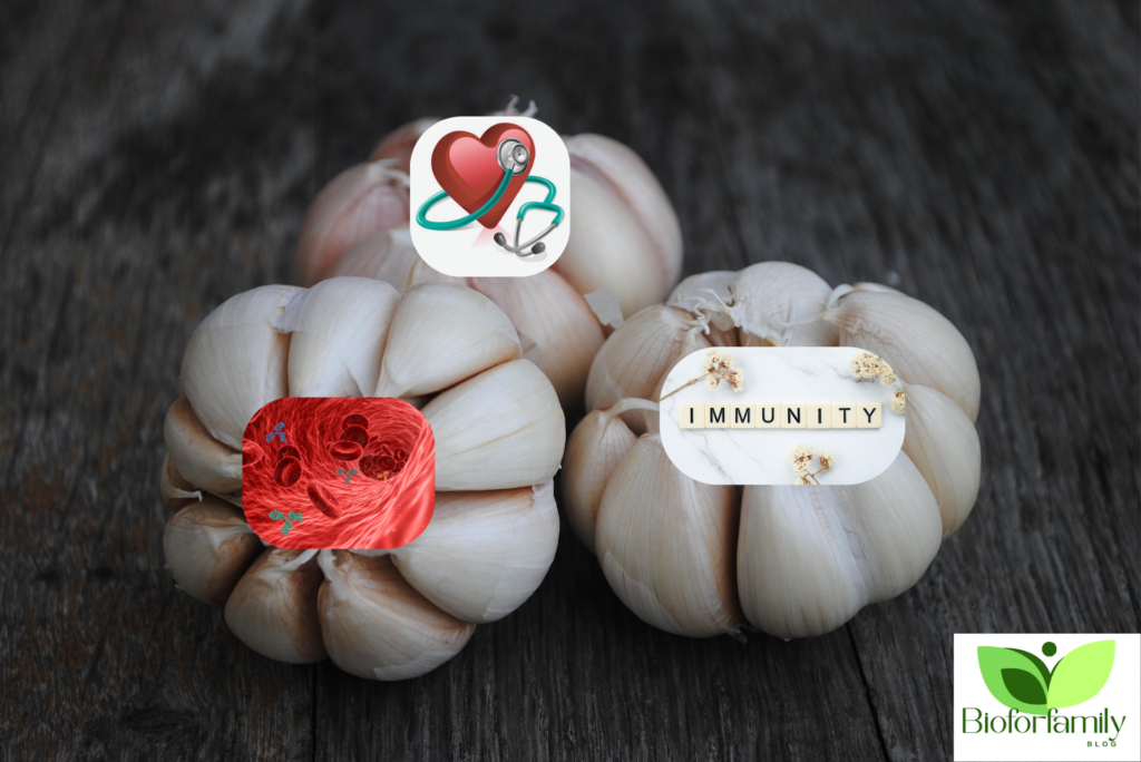 Design Sans Titre13 1024x684