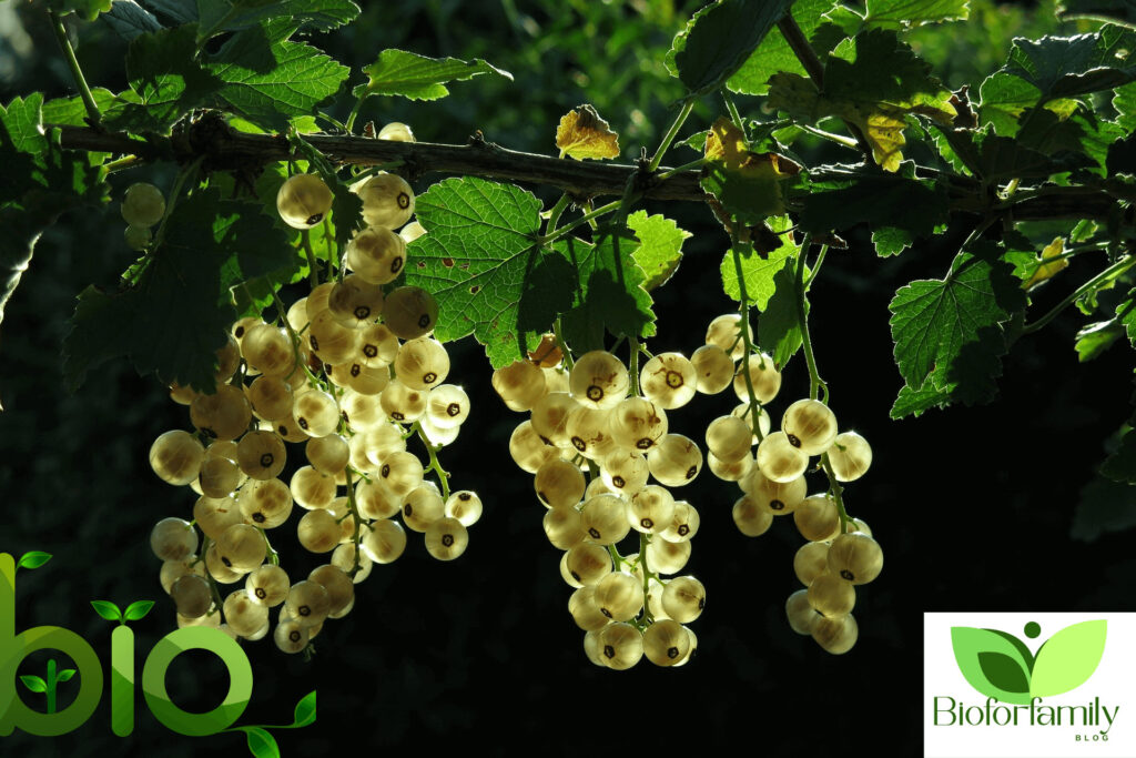 Design Sans Titre211 1024x683