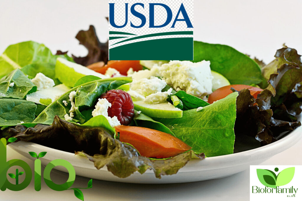 Design Sans Titre221 1024x683