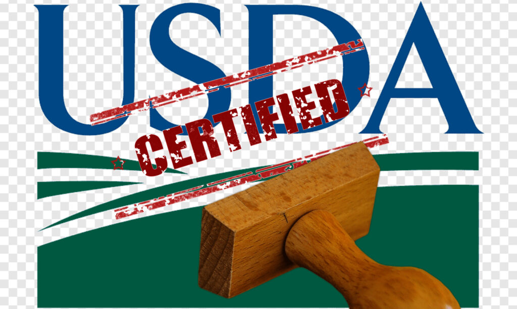 Design Sans Titre231 1024x612