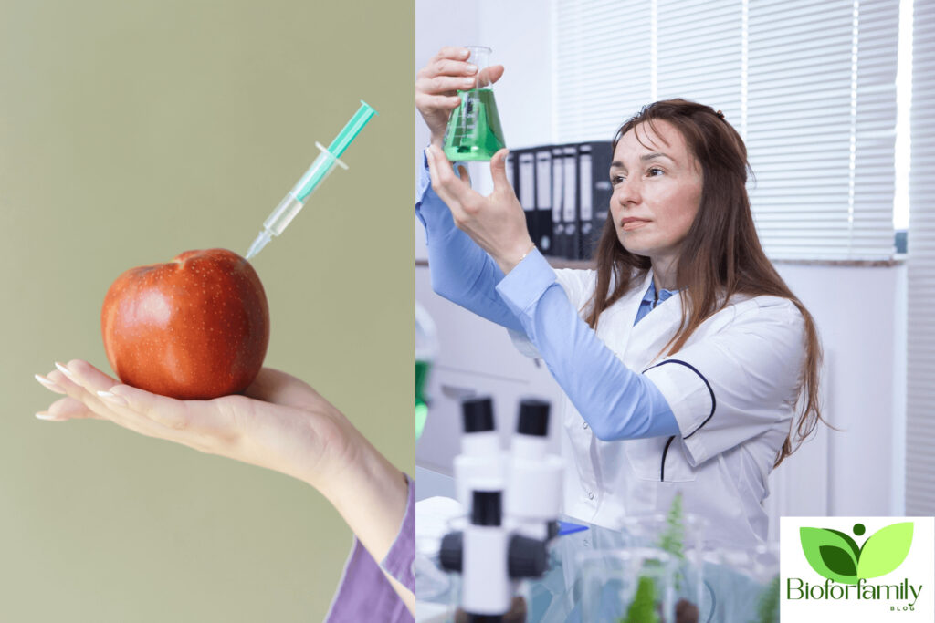 Design Sans Titre241 1024x683