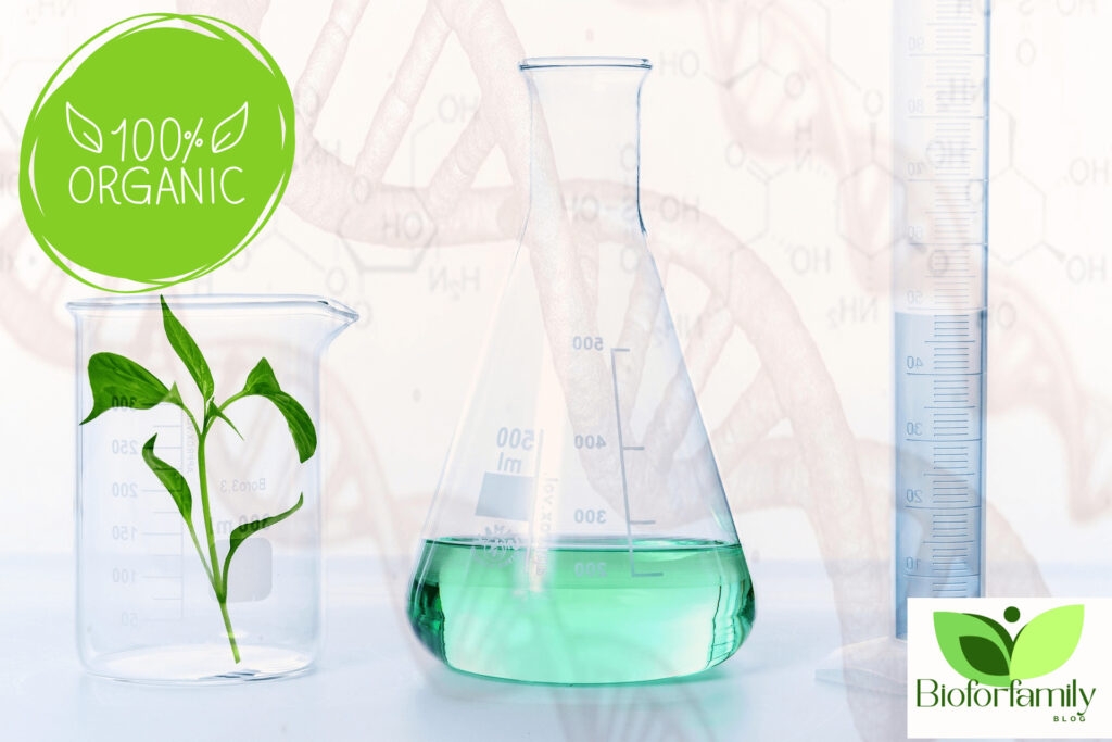 Design Sans Titre261 1024x683