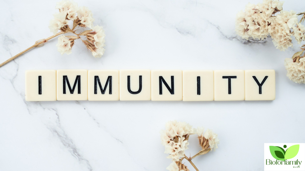 Design Sans Titre7 1024x576