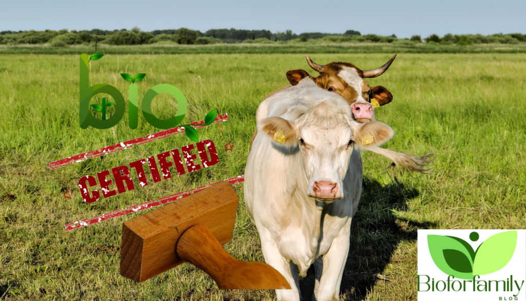 The Most Trusted Bio Certifications Design Sans Titre70 1024x587