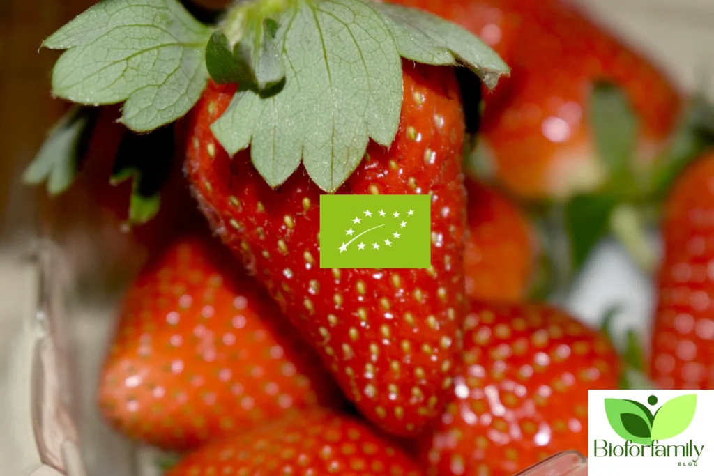 What is EU Organic Certification? Design Sans Titre75 1024x683