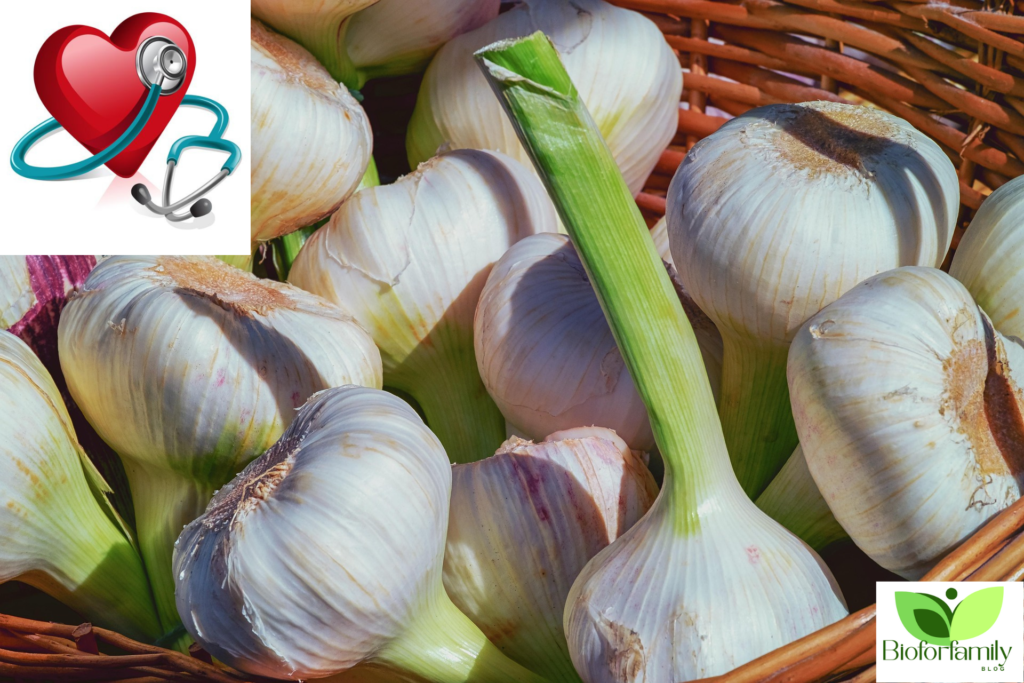 Design Sans Titre8 1024x683