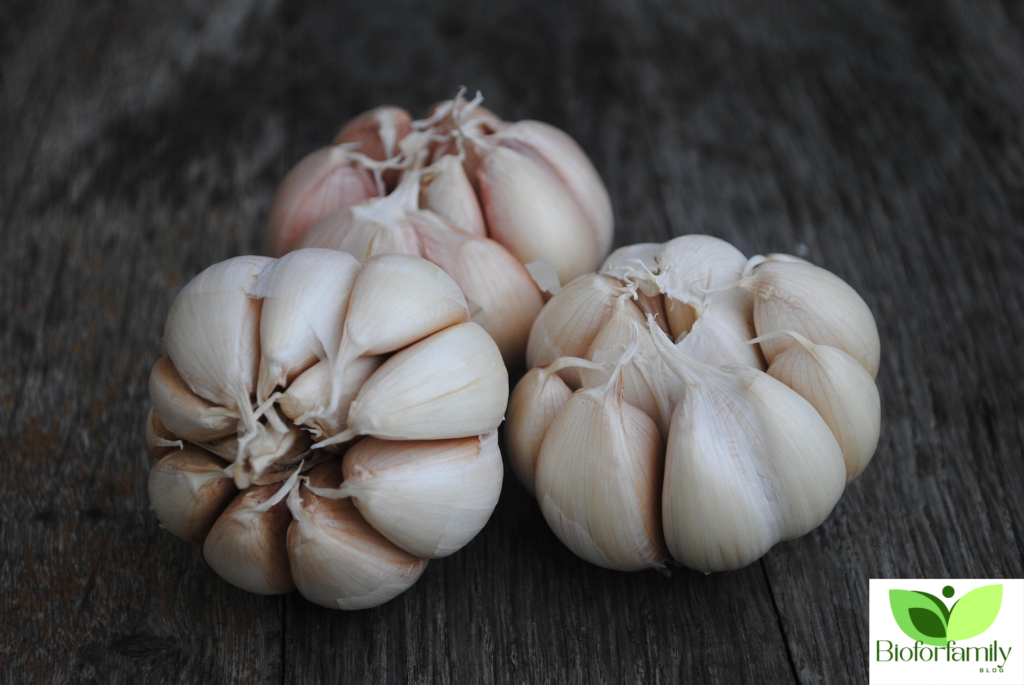 Design Sans Titre9 1024x685