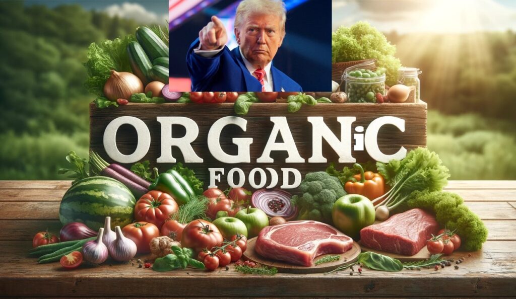 Nouveau Presentation Microsoft PowerPoint 1 1024x594