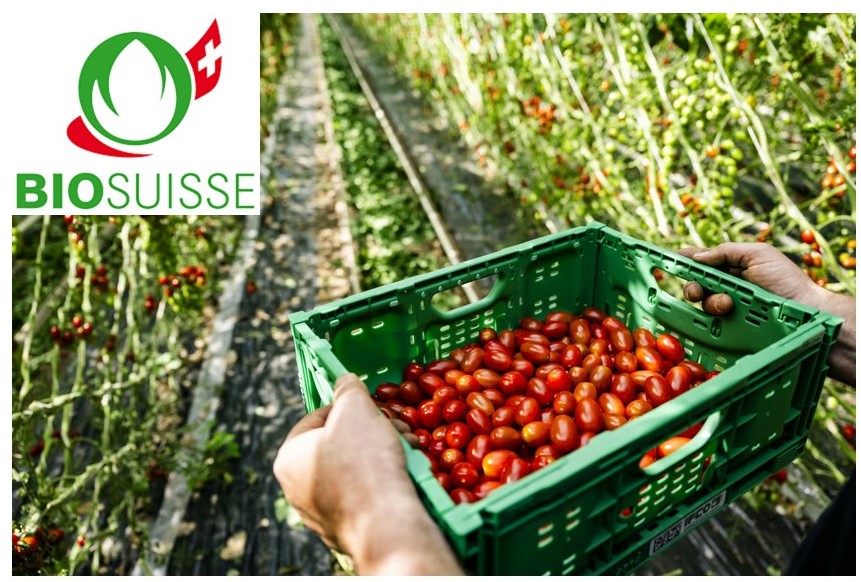 Nouveau Presentation Microsoft PowerPoint 8