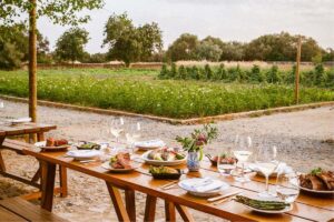 Bio-Restoration: culinary art of organic food Farm To Table Restaurant 300x200