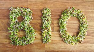 Bio-Restoration: culinary art of organic food News 4089 300x166