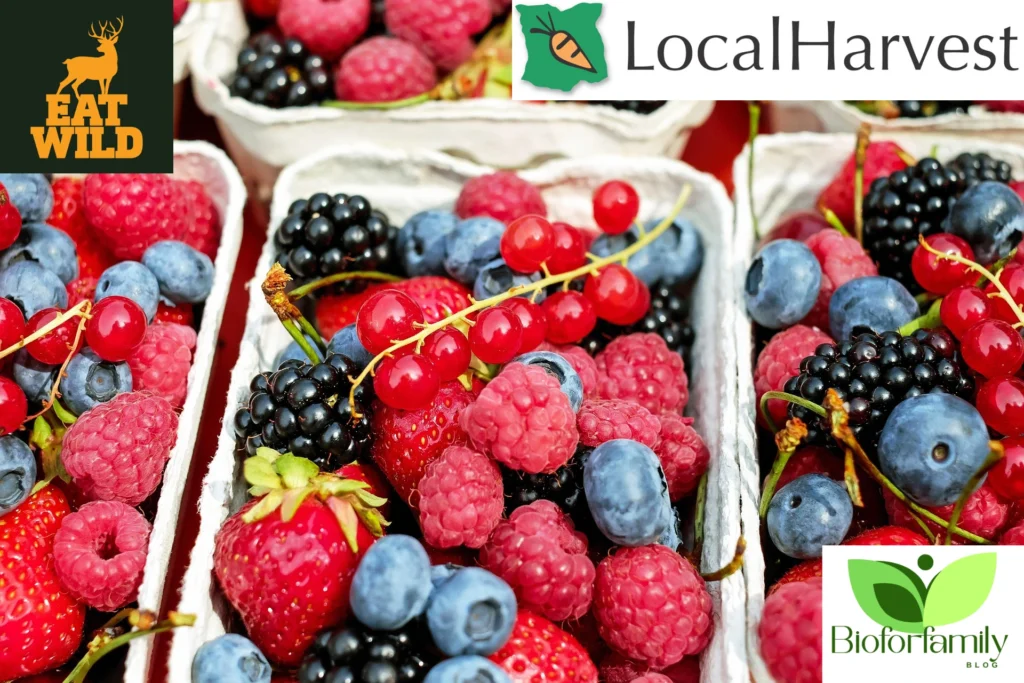 CSA PROGRAM 1024x683