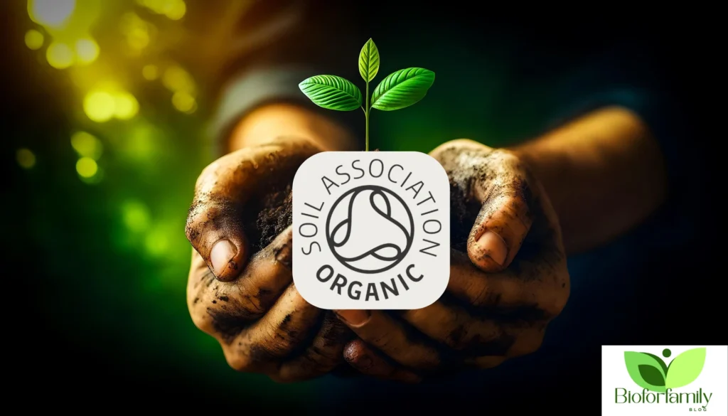 Design Sans Titre101 1024x585