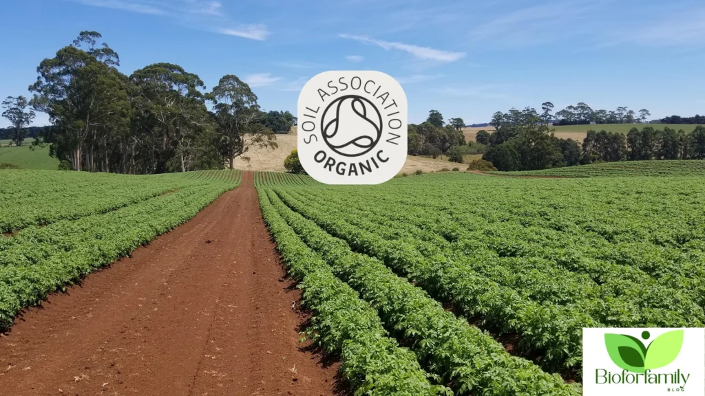What Is Soil Association Organic Certification?