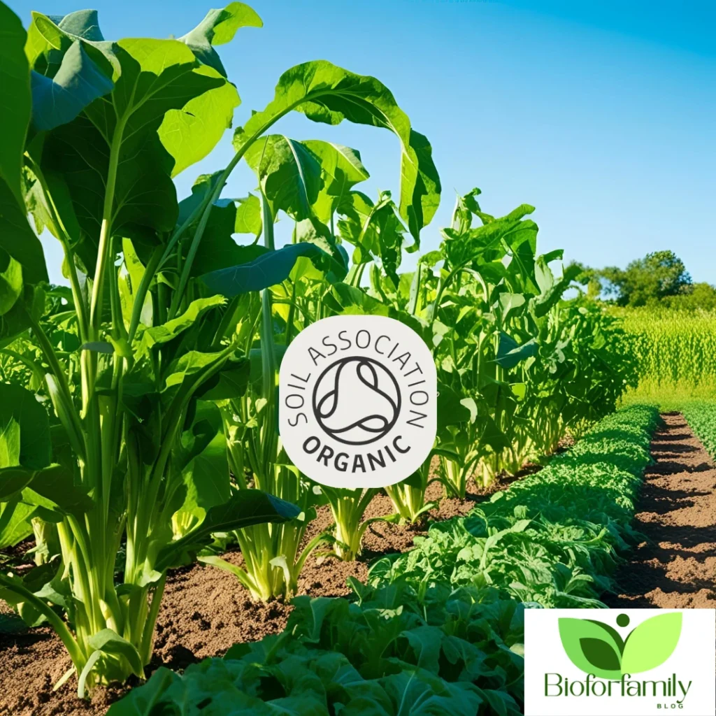 Key Standards of Soil Association Organic Certification