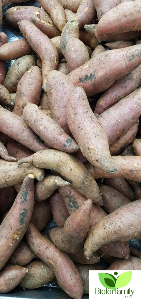 Sweet Potatoes: Health Benefits, Nutrition, and More Design Sans Titre109 485x1024