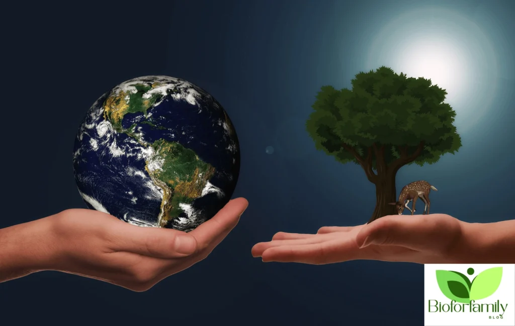 Design Sans Titre351 1024x649