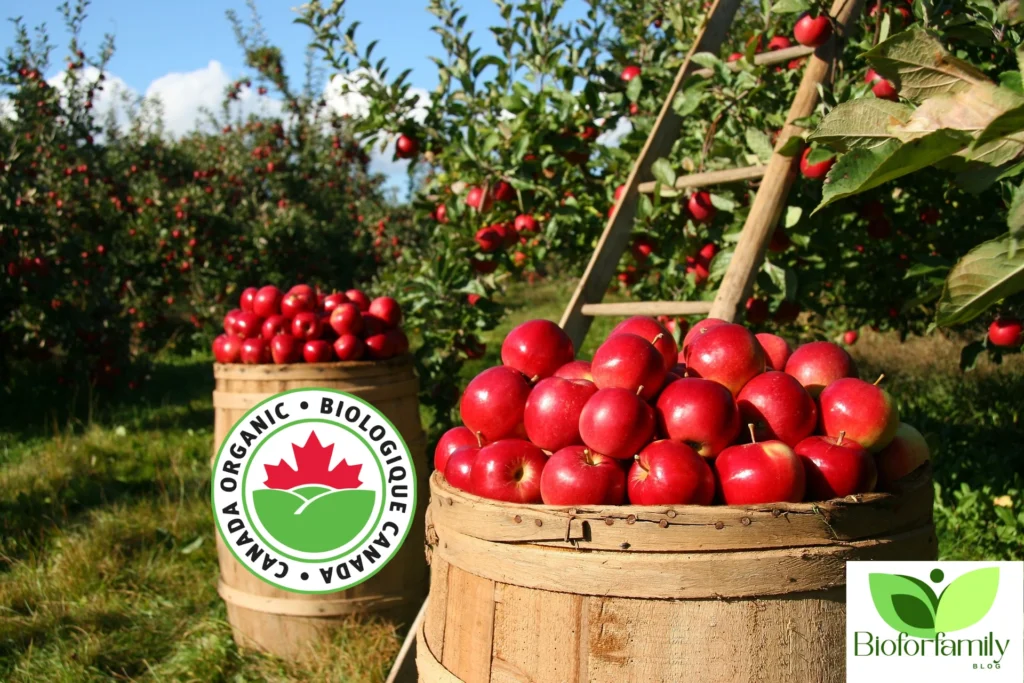 Design Sans Titre39 1024x683