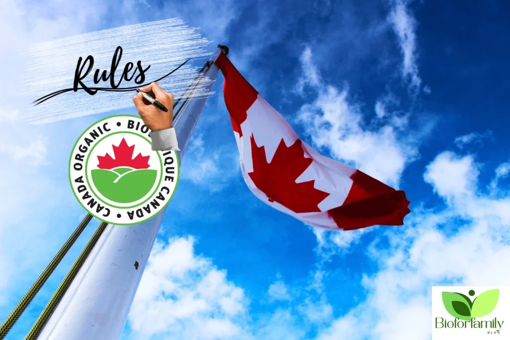 Design Sans Titre431 1024x683