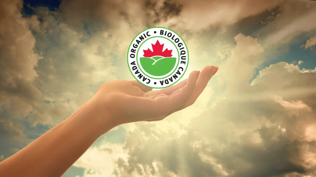 Design Sans Titre441 1024x575