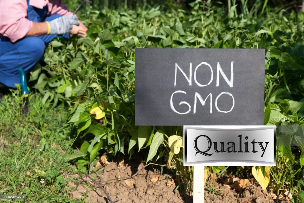 Design Sans Titre56 1024x683