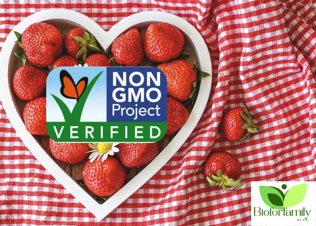 Design Sans Titre59 1024x732