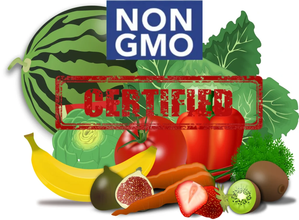 Design Sans Titre60 1024x755