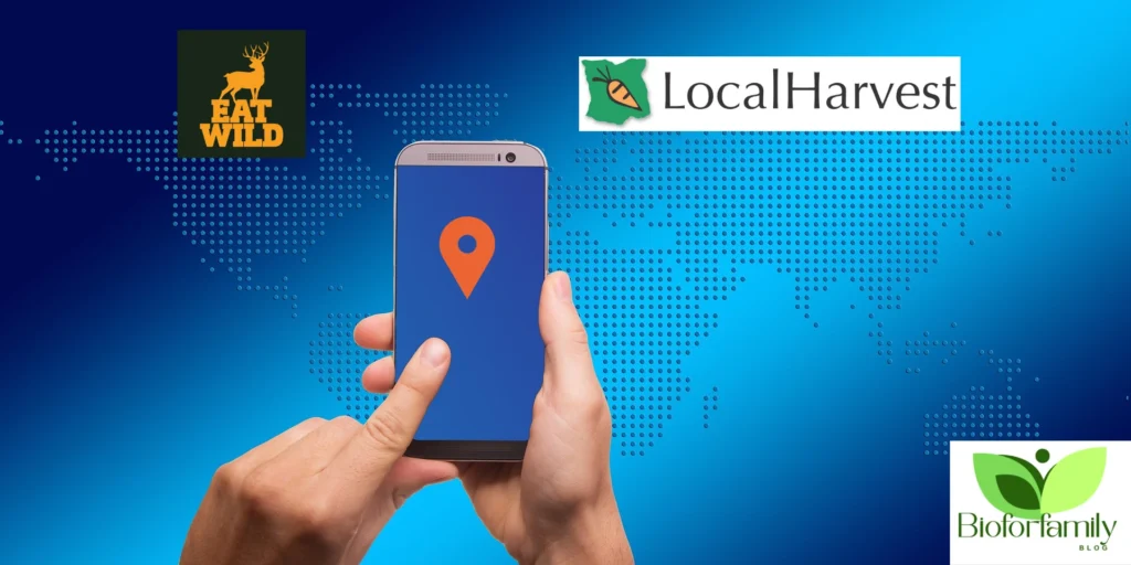 Design Sans Titre61 1024x512