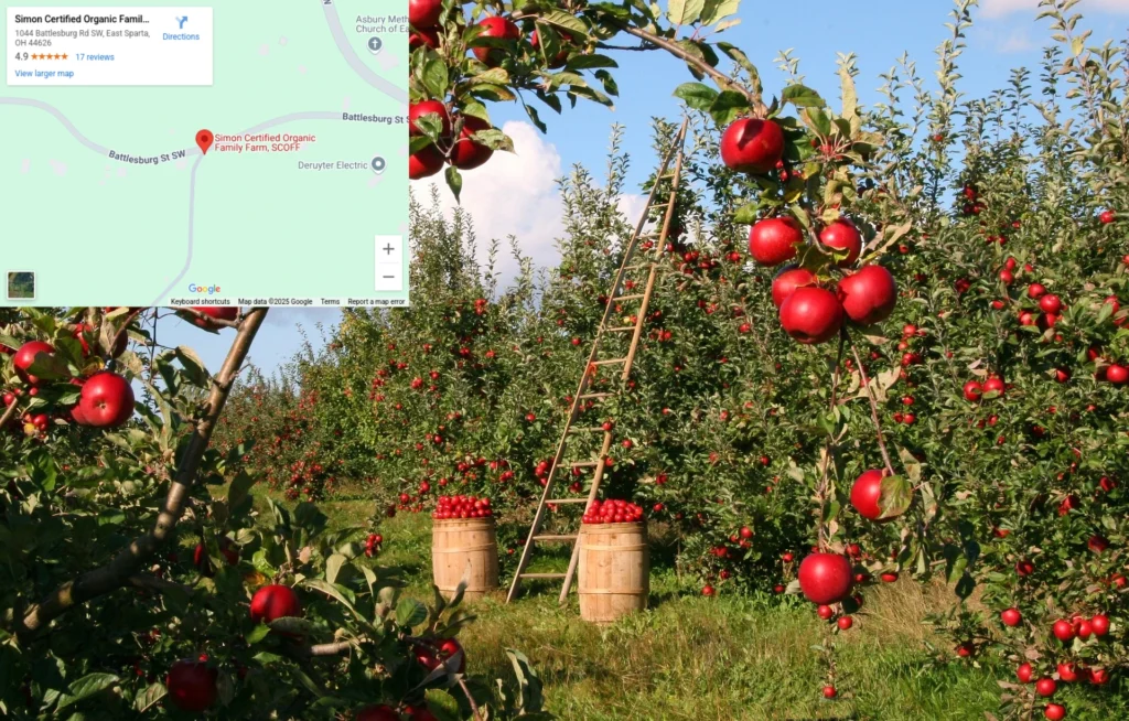 Design Sans Titre62 1024x654