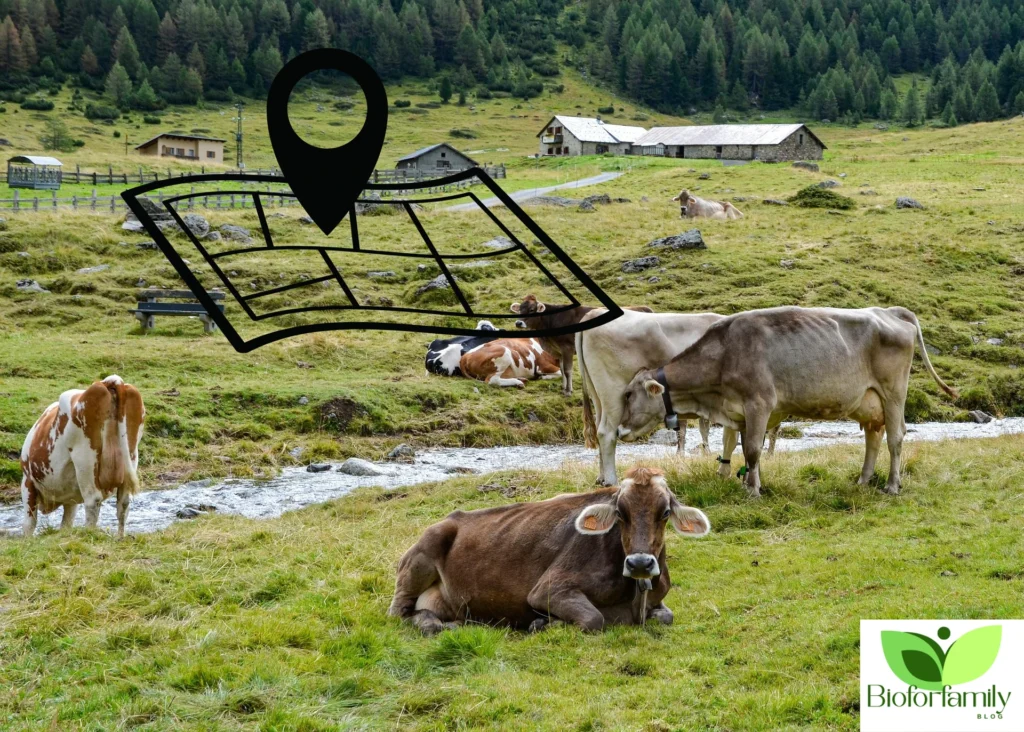 Design Sans Titre63 1024x732