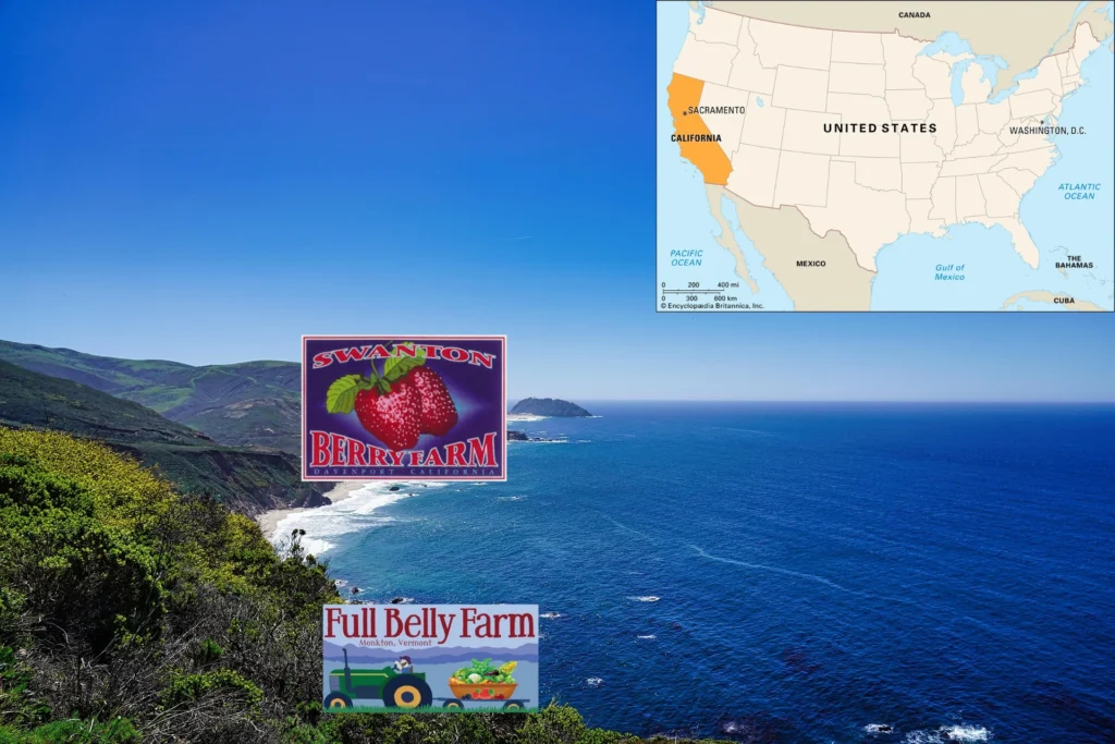 Design Sans Titre66 1024x683