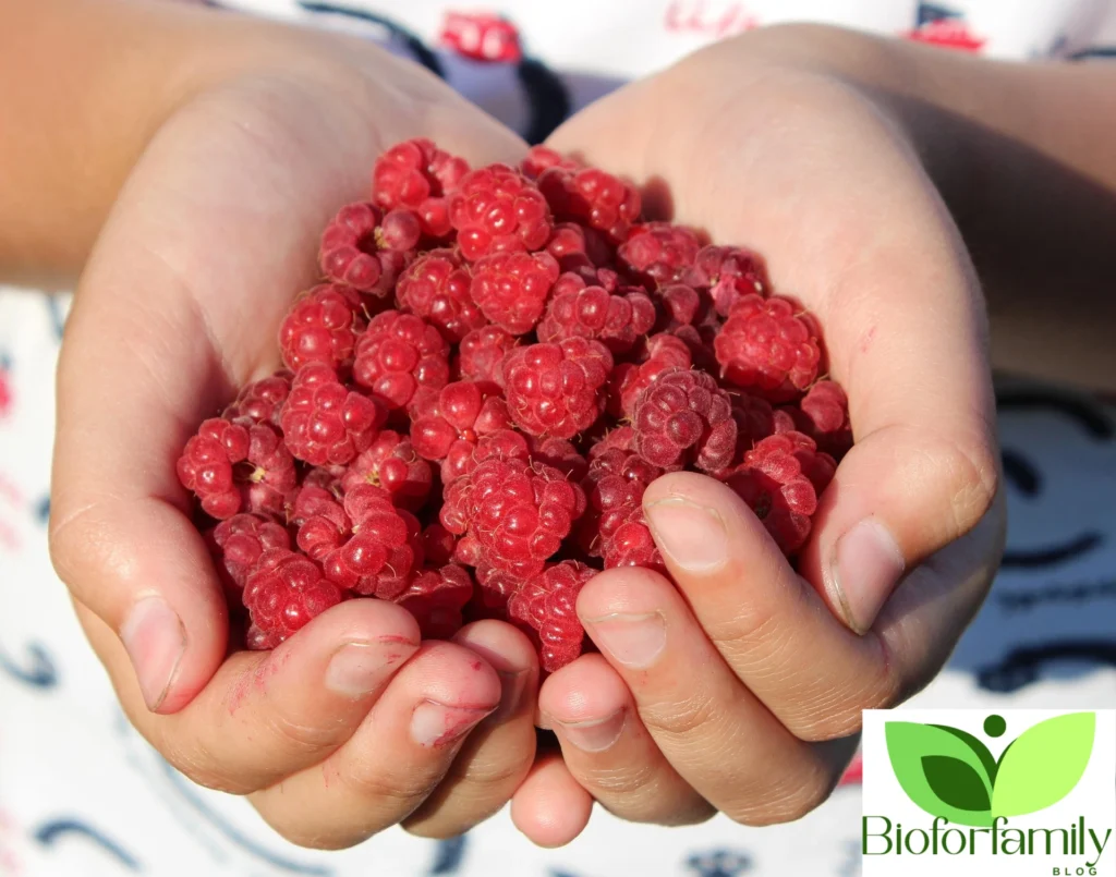 Design Sans Titre68 1024x805