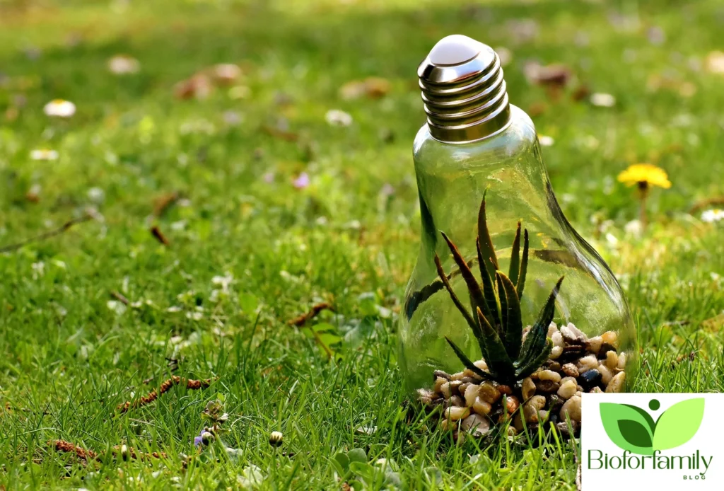 How Organic Food Supports Your Health and the Planet Design Sans Titre80 1024x694