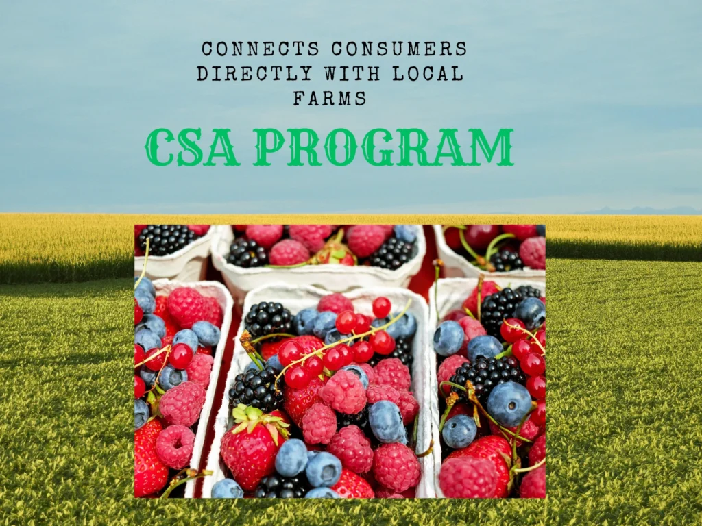 Design Sans Titre81 1024x768