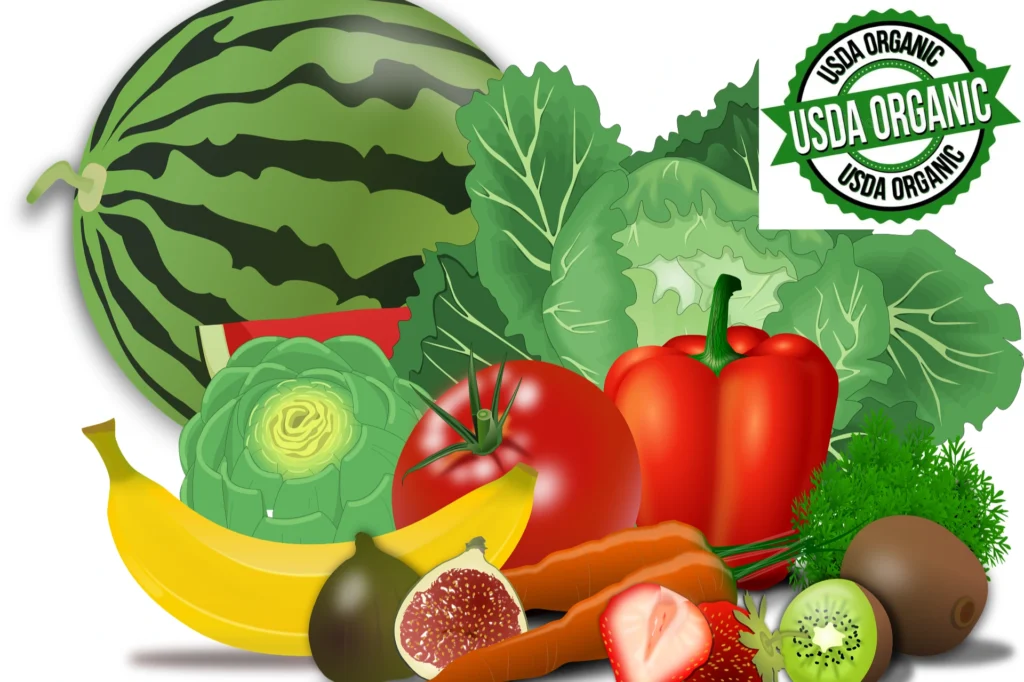 Design Sans Titre83 1024x682