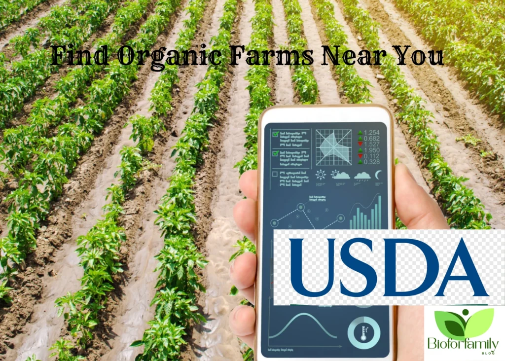 Votre Texte De Paragraphe2 1024x732