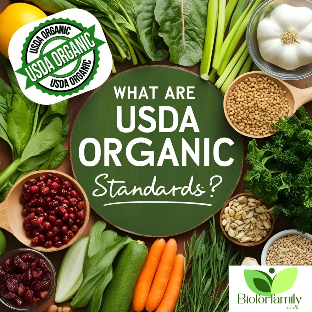 Design Sans Titre129 1024x1024