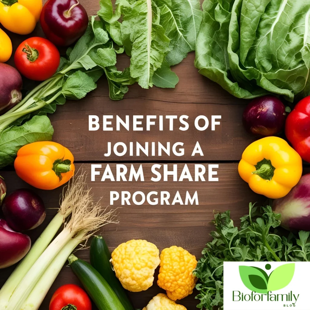 Design Sans Titre141 1024x1024