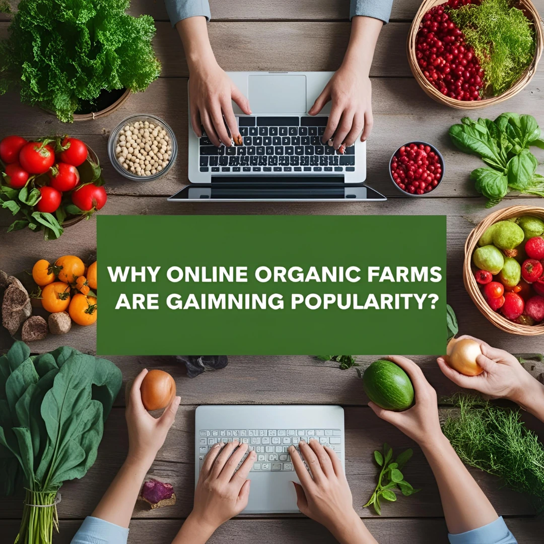 Design Sans Titre148